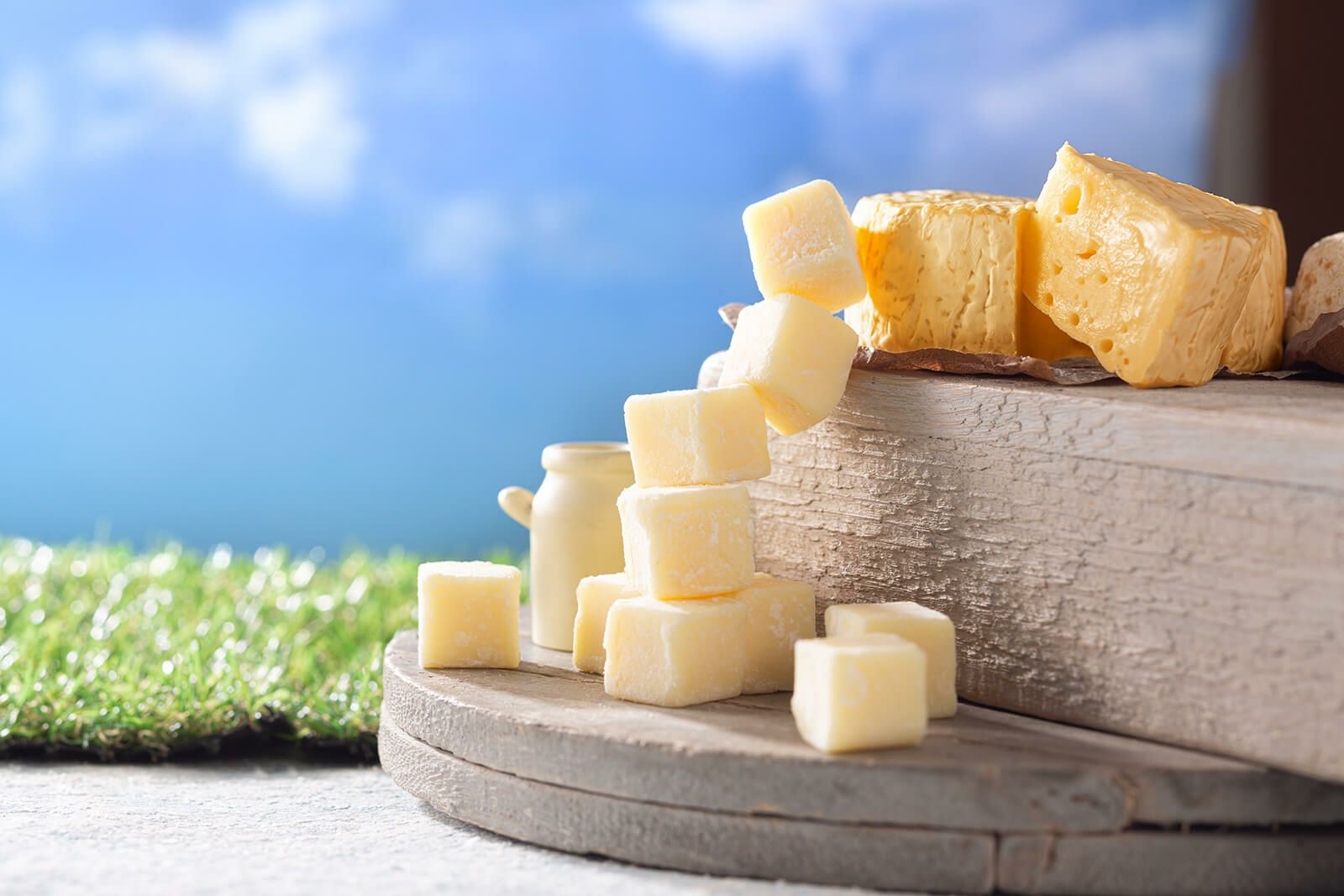 北海道チーズ | 生チョコレート発祥のお店 シルスマリア